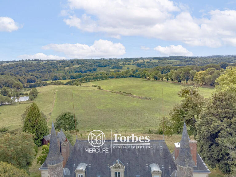 Castle Limoges - 11 bedrooms - 400m²