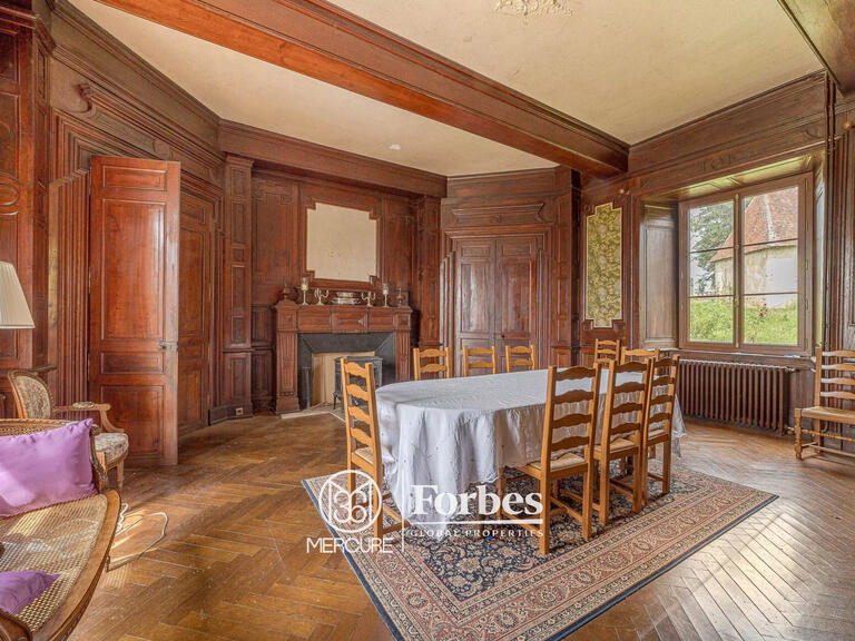 Castle Limoges - 11 bedrooms - 400m²