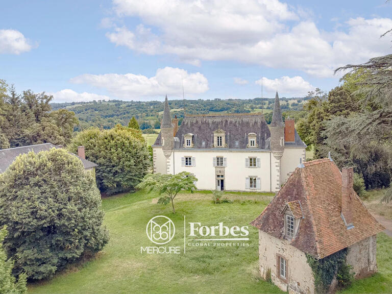 Castle Limoges - 11 bedrooms - 400m²