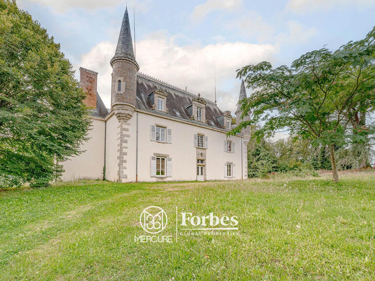 Castle Limoges - 11 bedrooms - 400m²