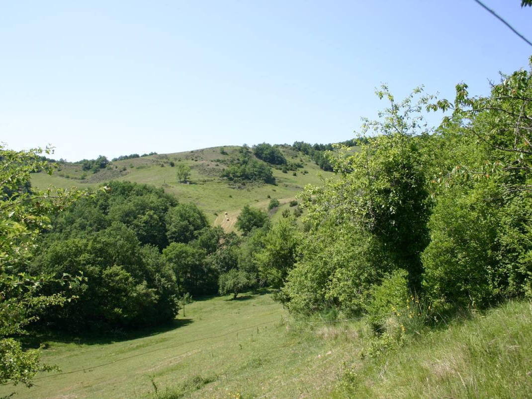 House Limoux