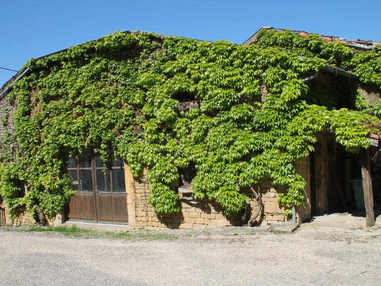 Propriété Longuyon - 4 chambres