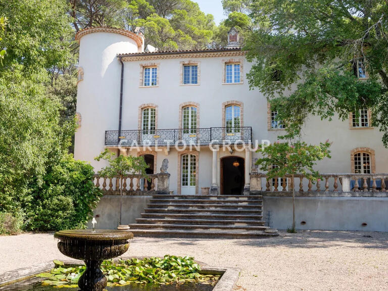 Castle Lorgues - 10 bedrooms - 1000m²