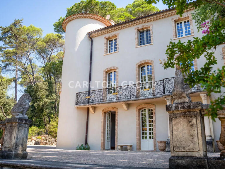 Castle Lorgues - 10 bedrooms - 1000m²