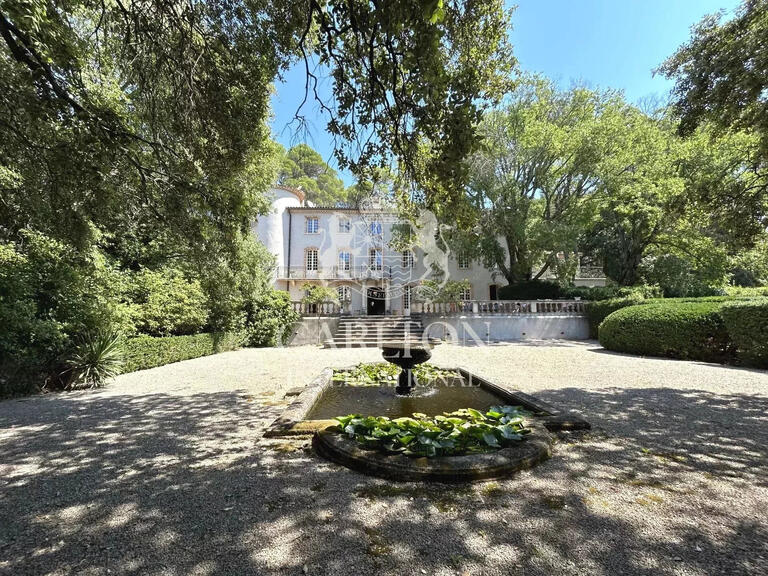 Castle Lorgues - 10 bedrooms - 1000m²