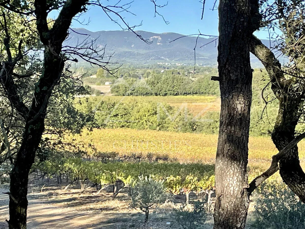 Vineyard Lourmarin