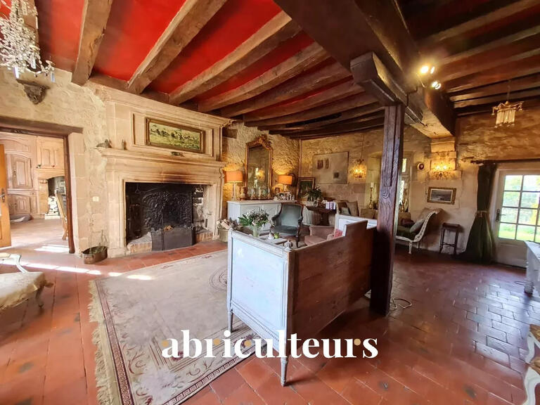 Vente Maison Luçay-le-Mâle - 12 chambres