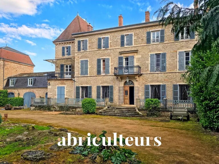 Maison Lugny - 8 chambres - 510m²