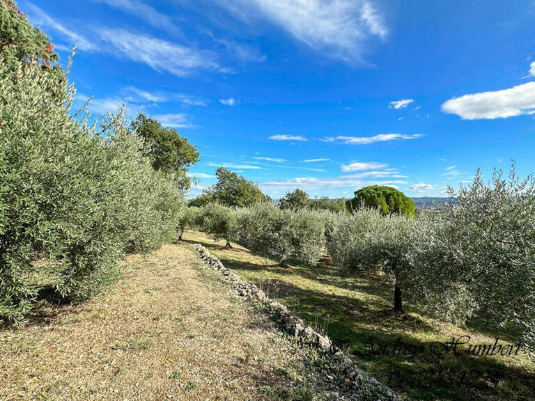 Vente Maison Manosque - 6 chambres