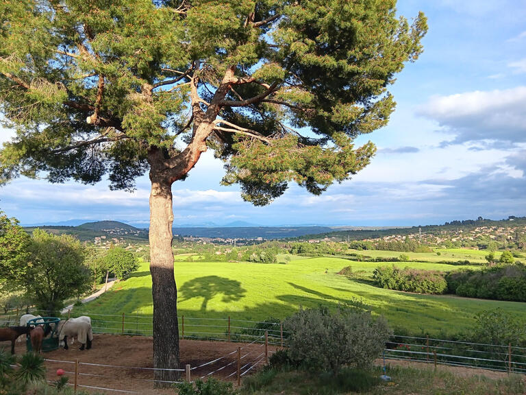 House Manosque - 308m²