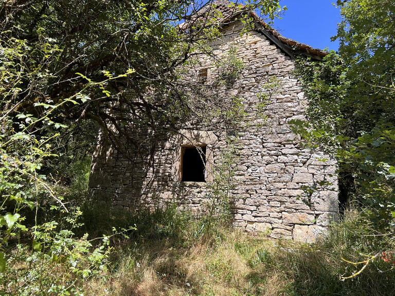 Maison Marcilhac-sur-Célé - 8 chambres - 450m²