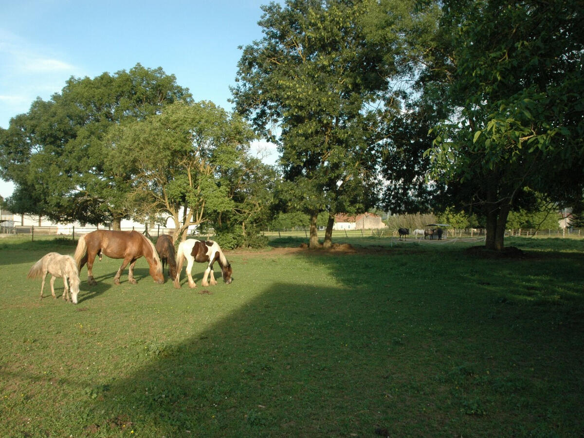 Unusual property Martres-de-Rivière