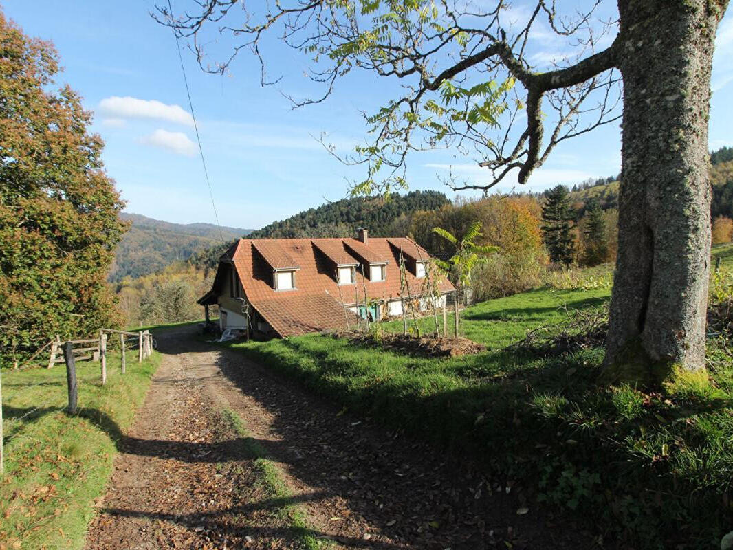 House Masevaux-Niederbruck