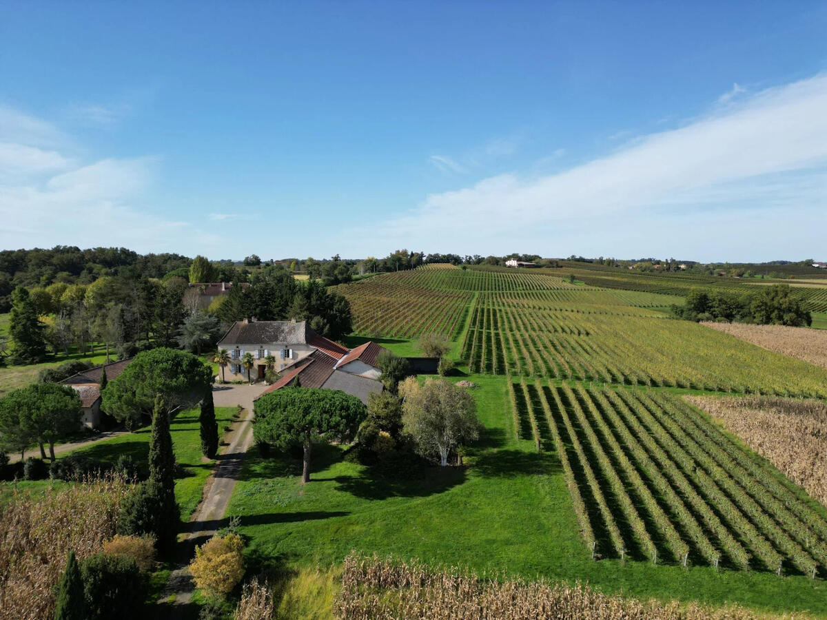 Vineyard Maumusson-Laguian