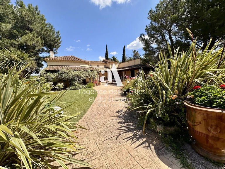 House Maussane-les-Alpilles - 5 bedrooms - 230m²