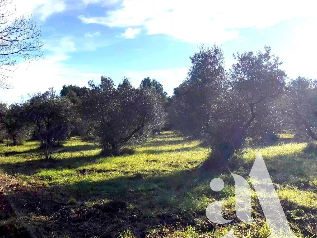 House Maussane-les-Alpilles