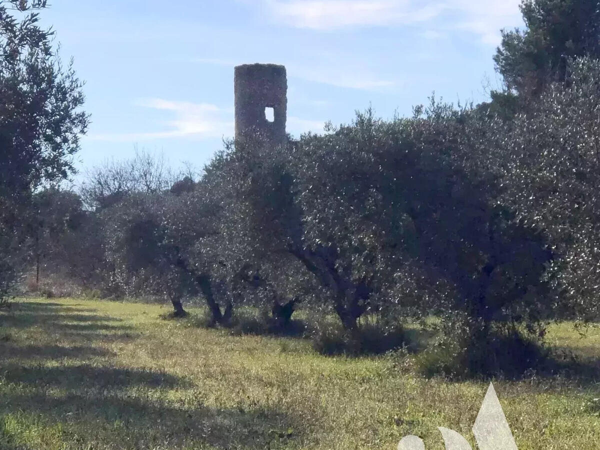 House Maussane-les-Alpilles