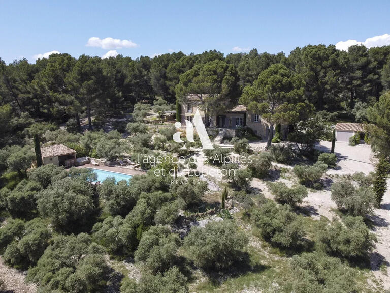 House Maussane-les-Alpilles - 5 bedrooms - 240m²