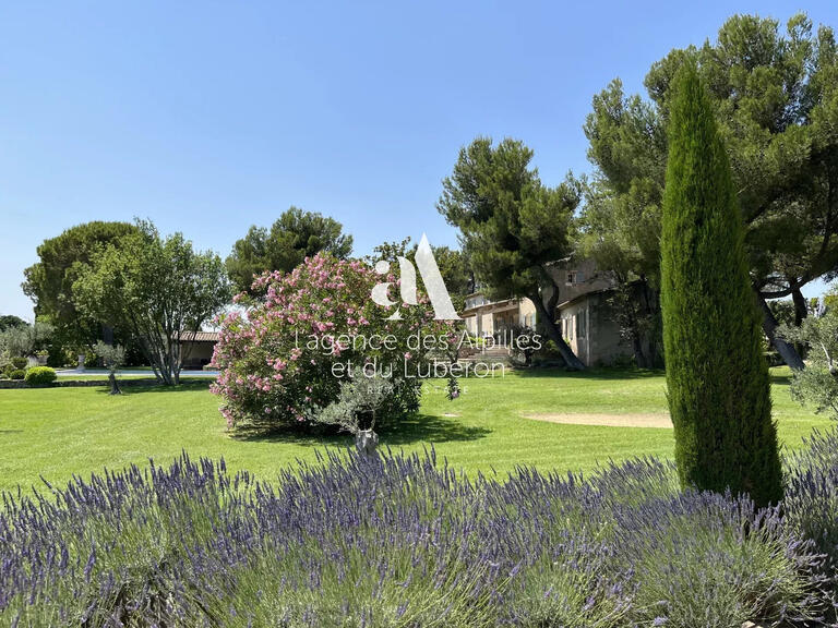 House Maussane-les-Alpilles - 6 bedrooms - 334m²