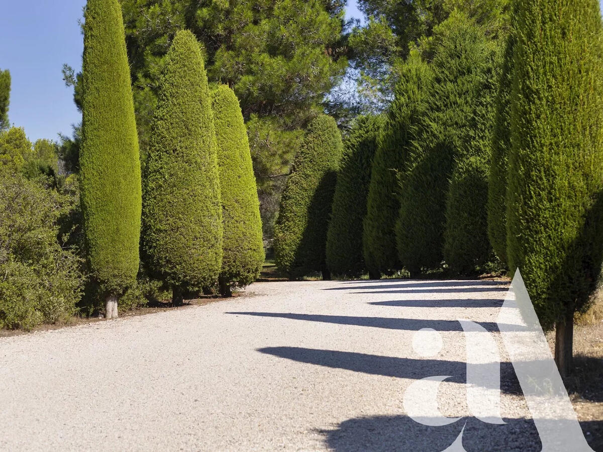 Propriété Maussane-les-Alpilles