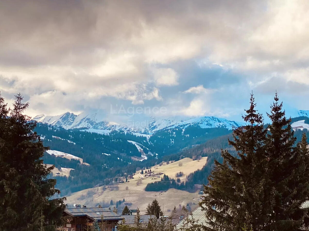 Apartment Megève