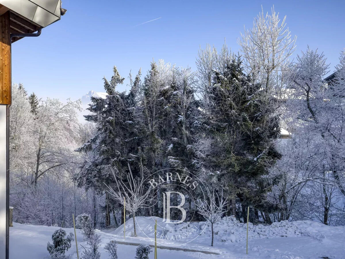 Apartment Megève