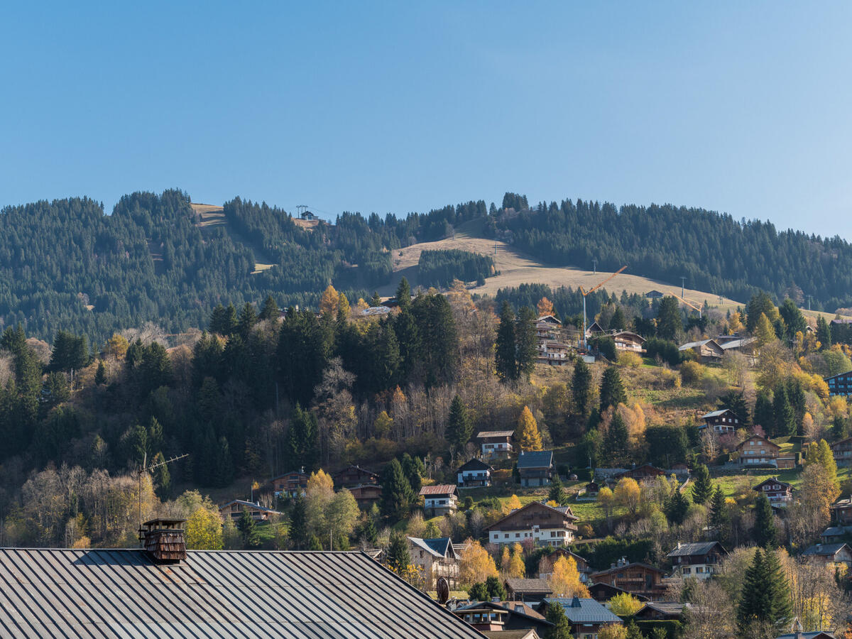 Chalet Megève