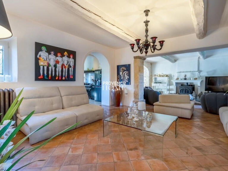 House Ménerbes - 7 bedrooms - 380m²