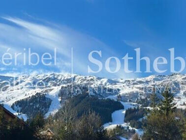 Chalet meribel-les-allues