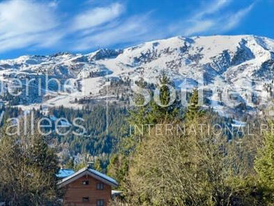 Chalet meribel-les-allues