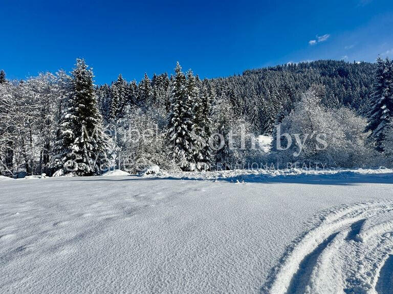 Terrain Meribel-les-allues - 534m²