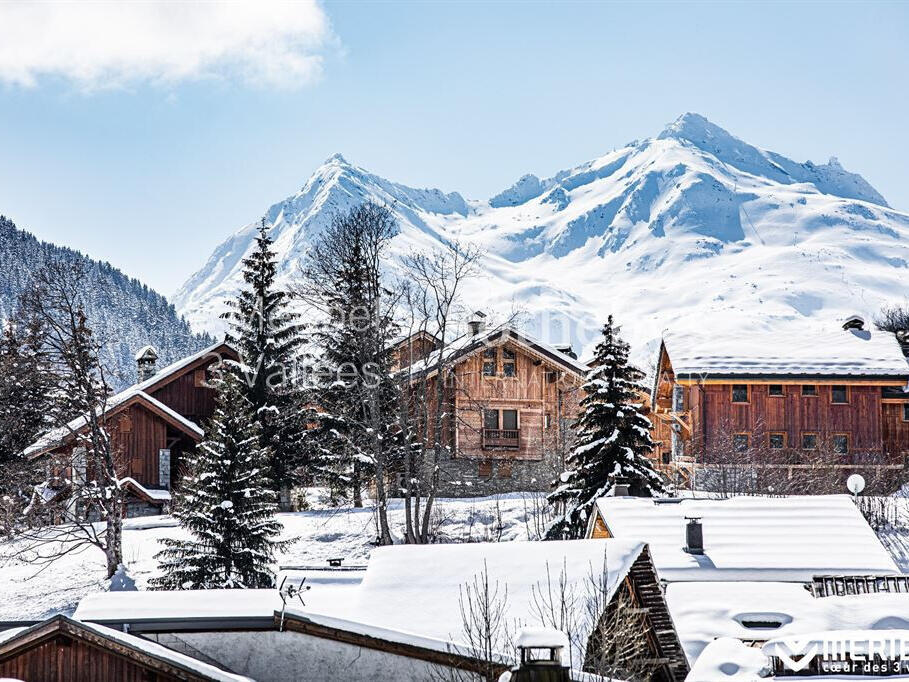 Terrain Meribel-les-allues