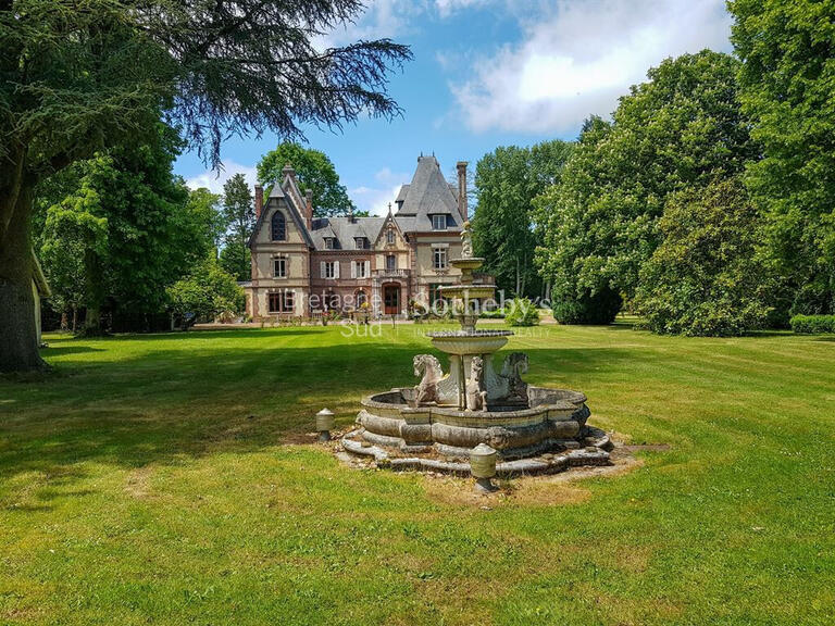 Castle Mesnil-en-Ouche - 10 bedrooms - 730m²