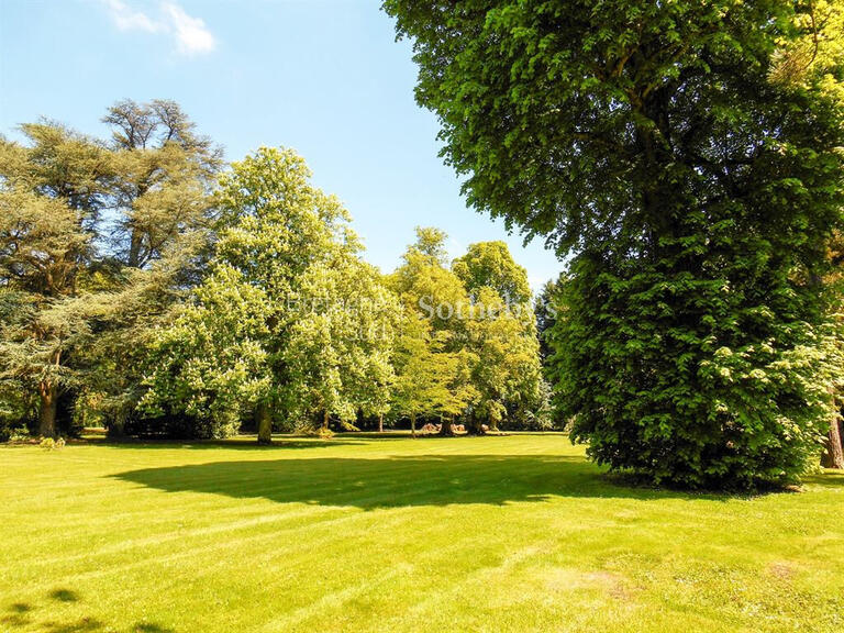 Castle Mesnil-en-Ouche - 10 bedrooms - 730m²