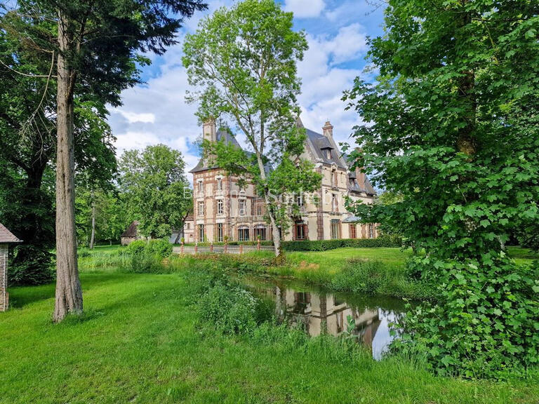 Castle Mesnil-en-Ouche - 10 bedrooms - 730m²