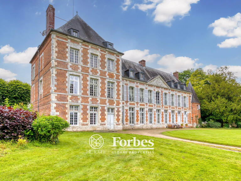 Castle Mesnil-Panneville - 14 bedrooms - 628m²