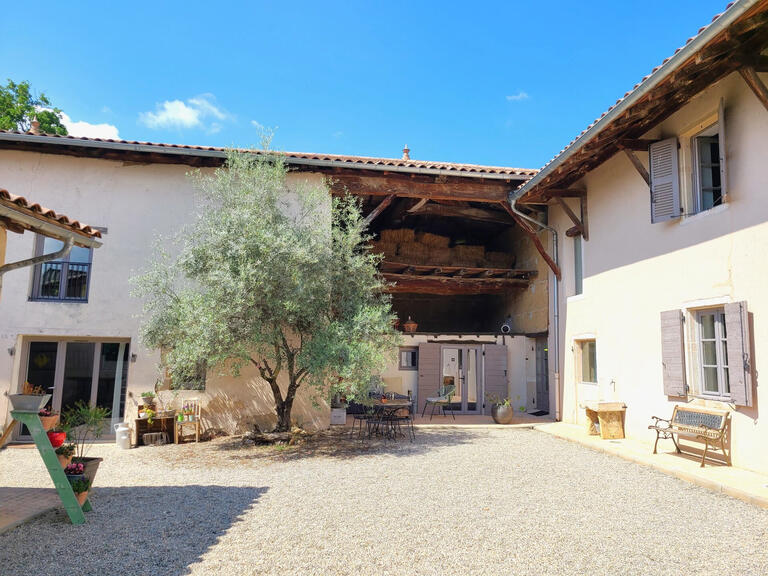 Unusual property Messimy-sur-Saône - 6 bedrooms - 429m²