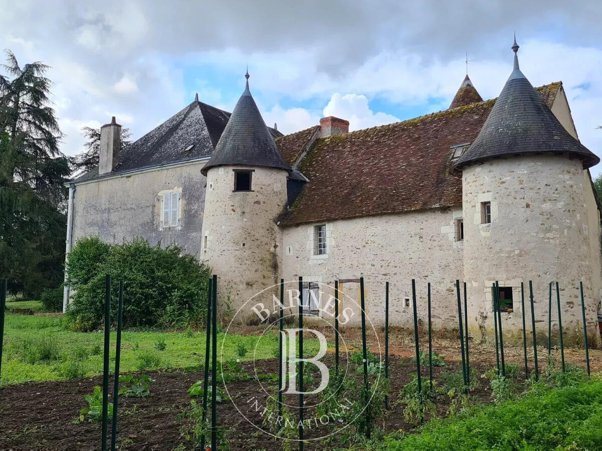 Castle Mézières-en-Brenne