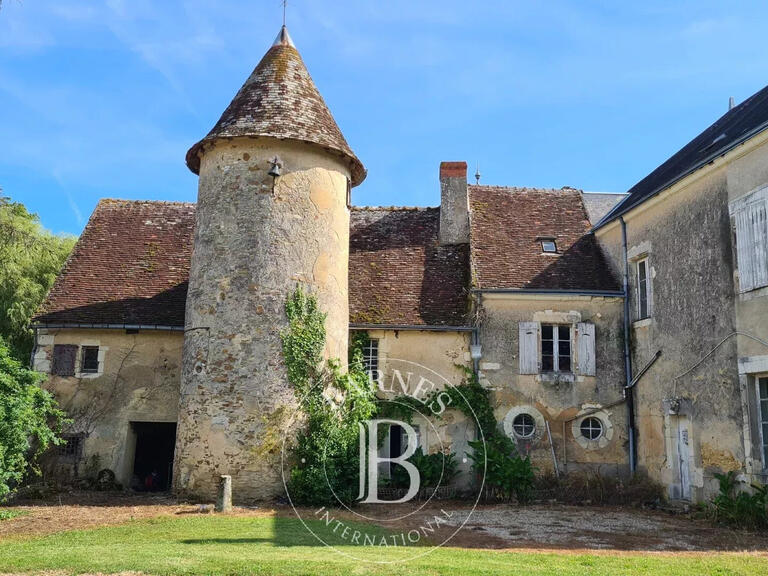 Castle Mézières-en-Brenne