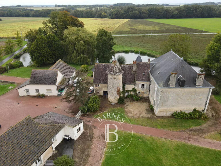 Castle Mézières-en-Brenne