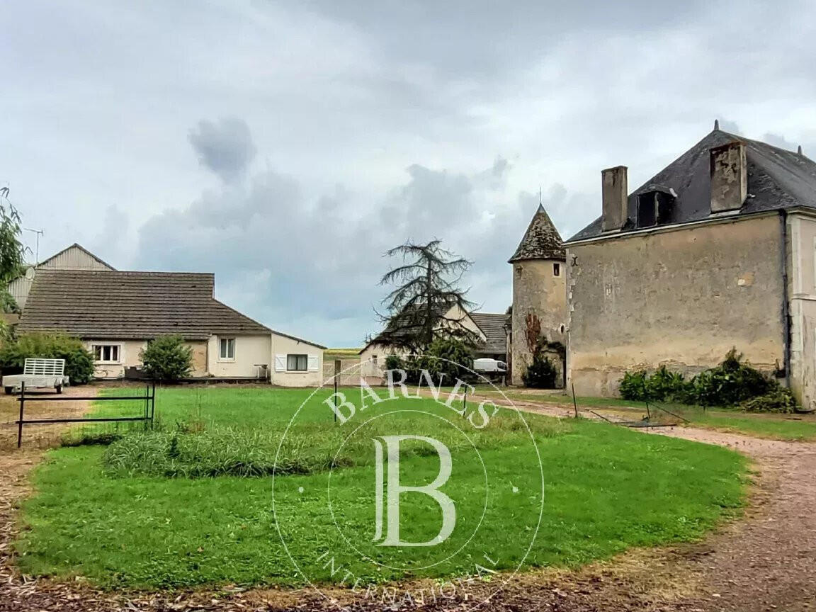 Castle Mézières-en-Brenne