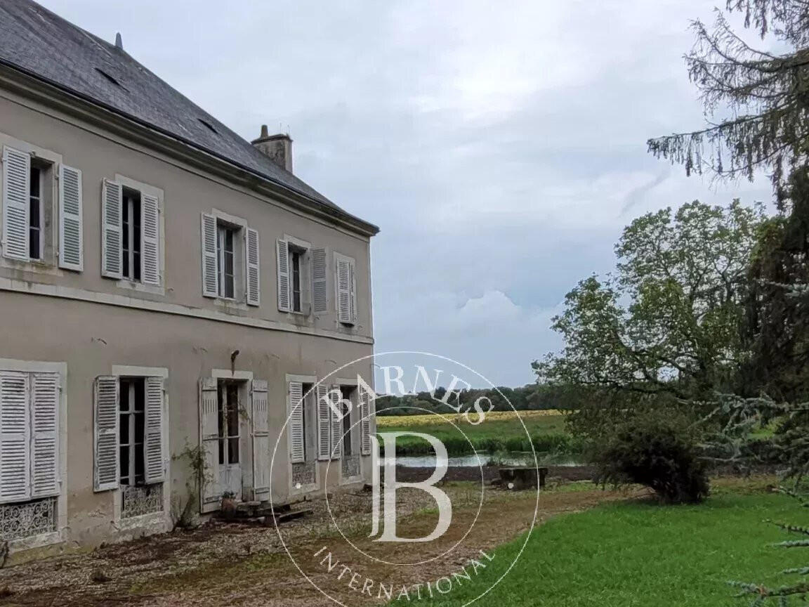 Castle Mézières-en-Brenne