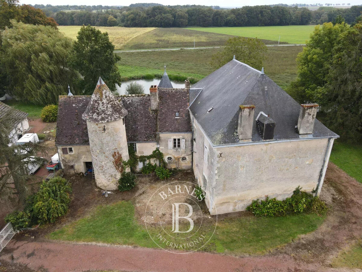 Castle Mézières-en-Brenne