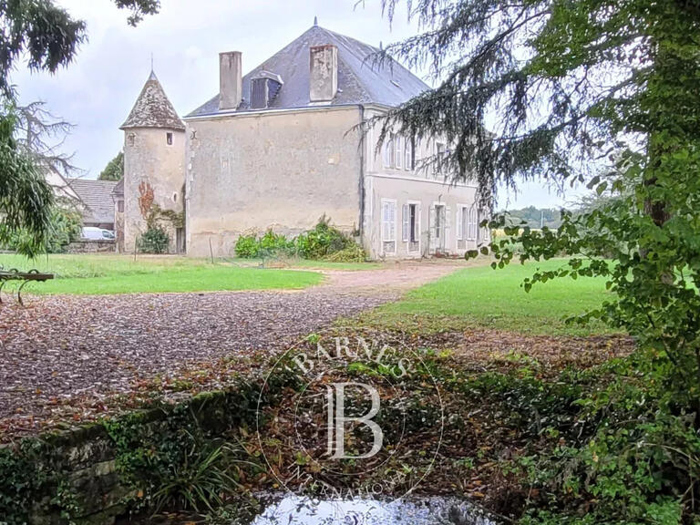 Castle Mézières-en-Brenne