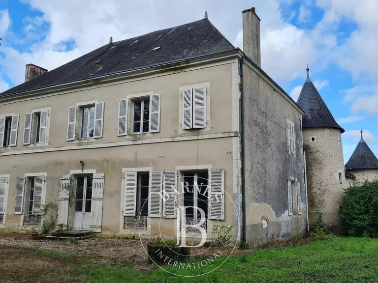 Castle Mézières-en-Brenne