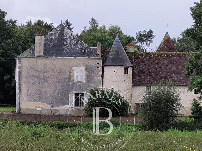 Castle Mézières-en-Brenne