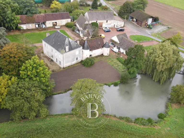 Propriété Mézières-en-Brenne