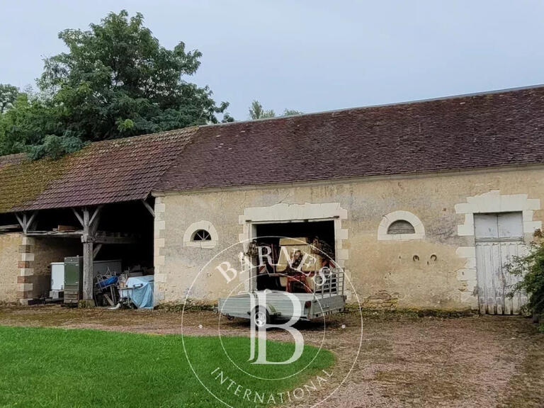 Property Mézières-en-Brenne