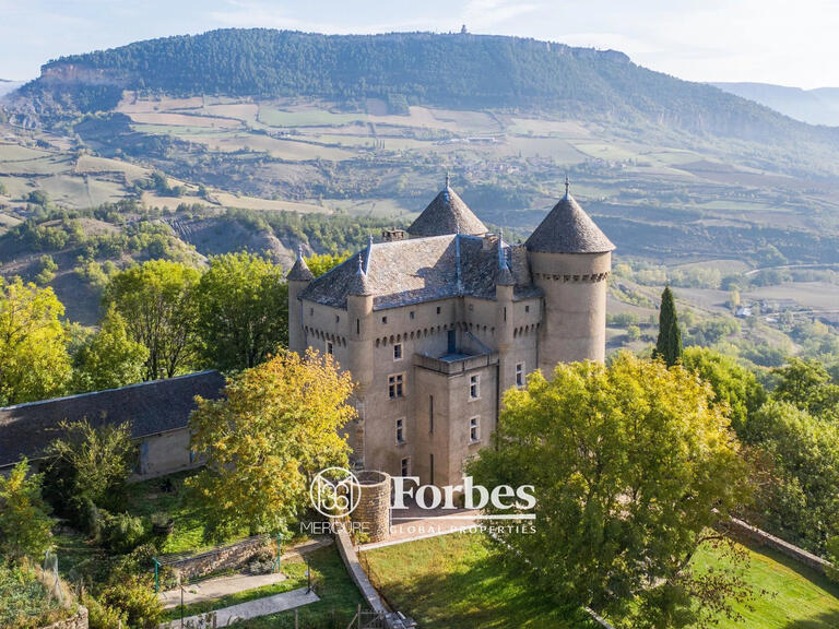 Château Millau - 8 chambres - 500m²