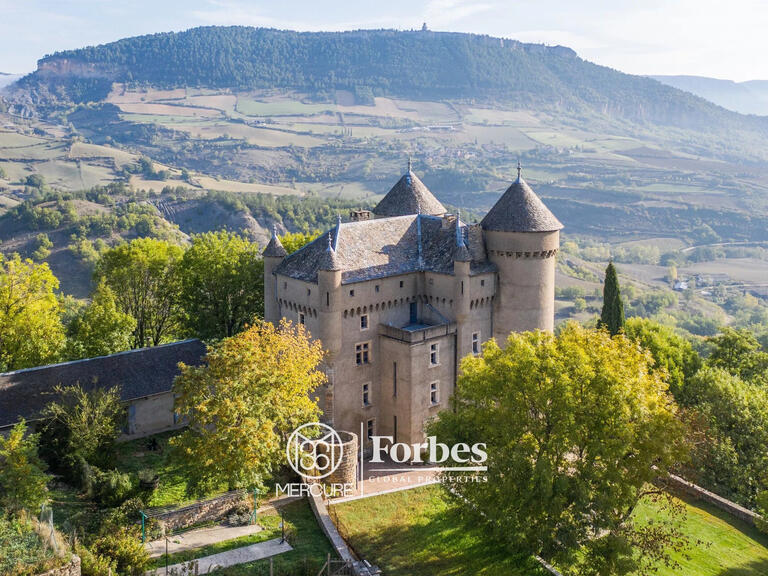 Château Millau - 8 chambres - 500m²